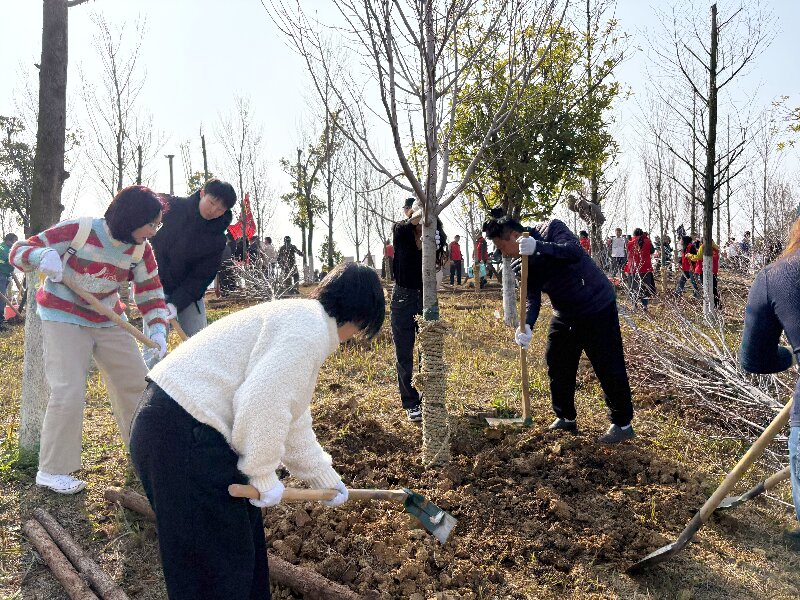 種下一片綠，收獲好心情：多靈磨盤洲的植樹活動